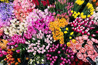 《机器人殖民地》续作《奥拓星球：强敌》上架Steam 支持简体中文