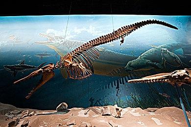 国行《超级马力欧 奥德赛》宣传片公布 随着奥德赛号启航